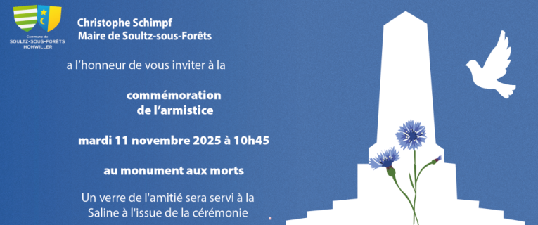 Cérémonie du 11 novembre