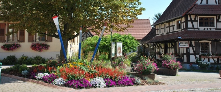 Les fleurs à Hohwiller