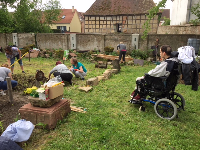 oiseaux au jardin solidaire 05-2018